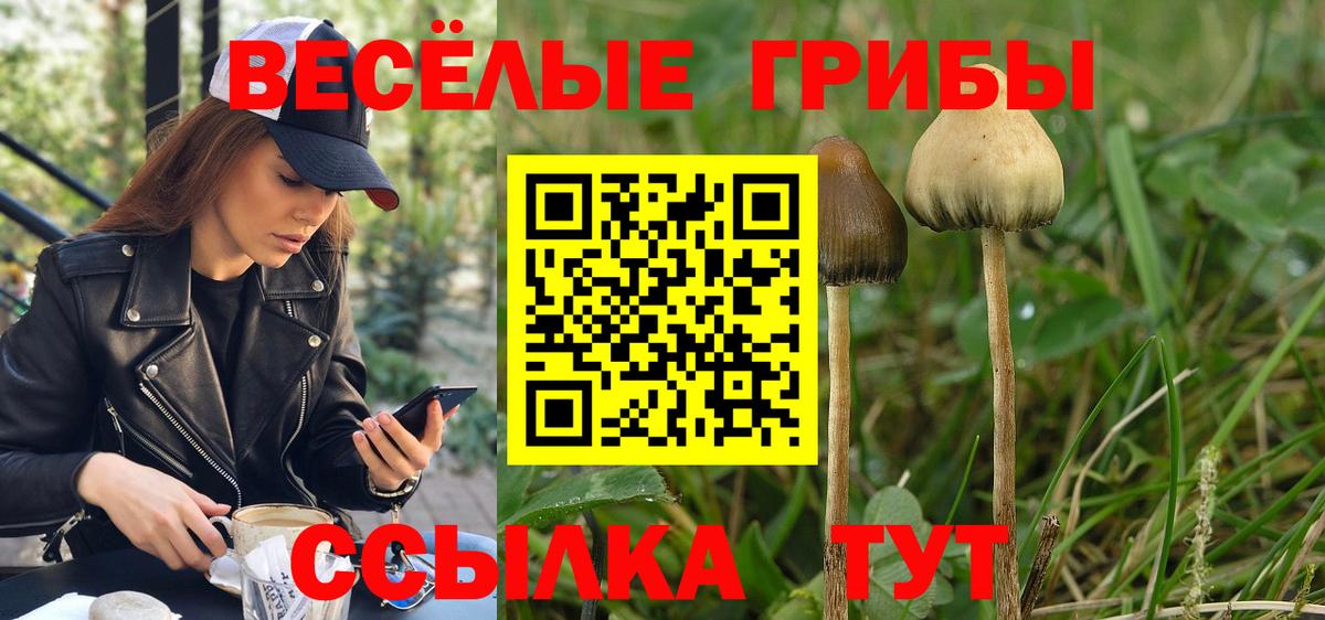 Галлюциногенные грибы ЛСД Кимры