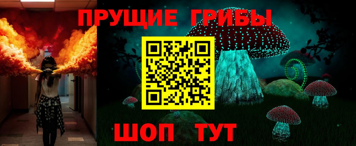 Галлюциногенные грибы Psilocybine cubensis  Галлюциногенные грибы Cubensis  Вход с VPN  Кимры 